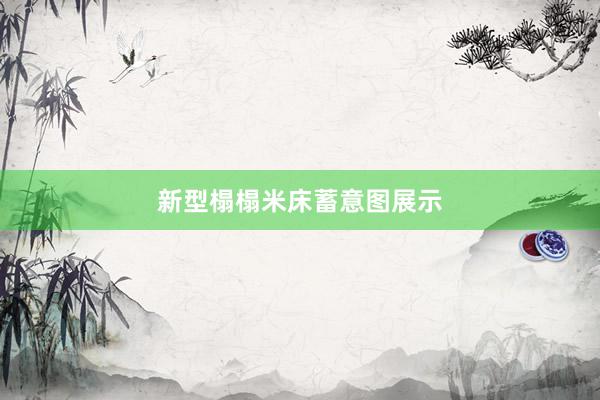 新型榻榻米床蓄意图展示
