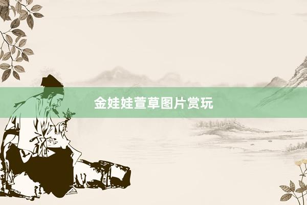 金娃娃萱草图片赏玩