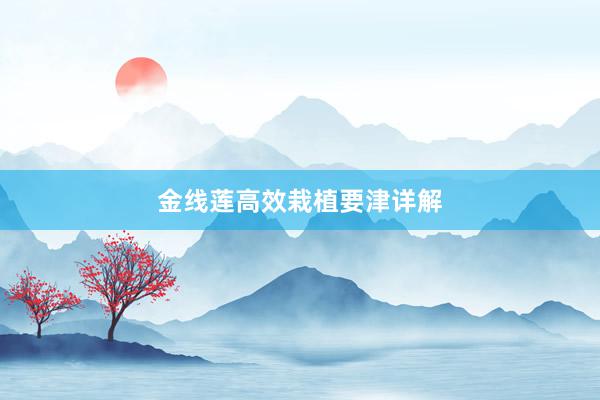 金线莲高效栽植要津详解