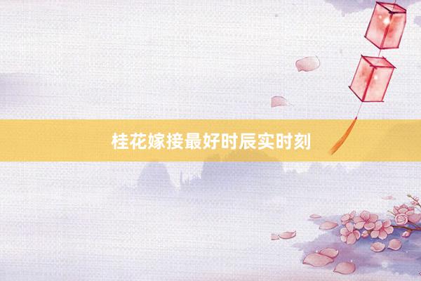 桂花嫁接最好时辰实时刻