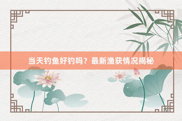 当天钓鱼好钓吗?最新渔获情况揭秘